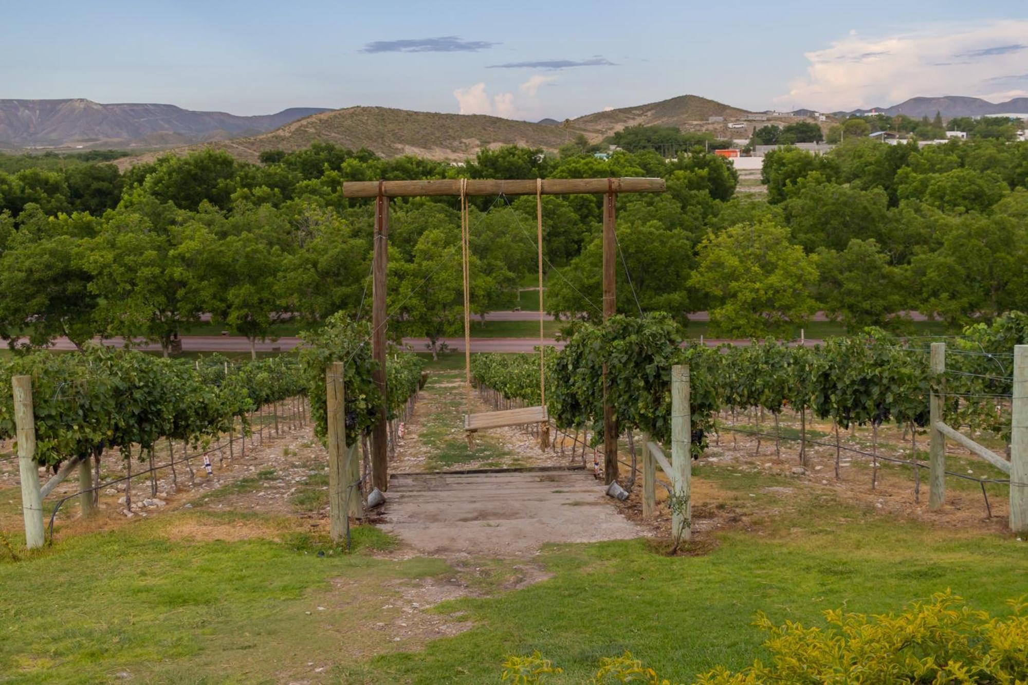 Hotel Vinicola Parvada By Lumina Parras de la Fuente Dış mekan fotoğraf