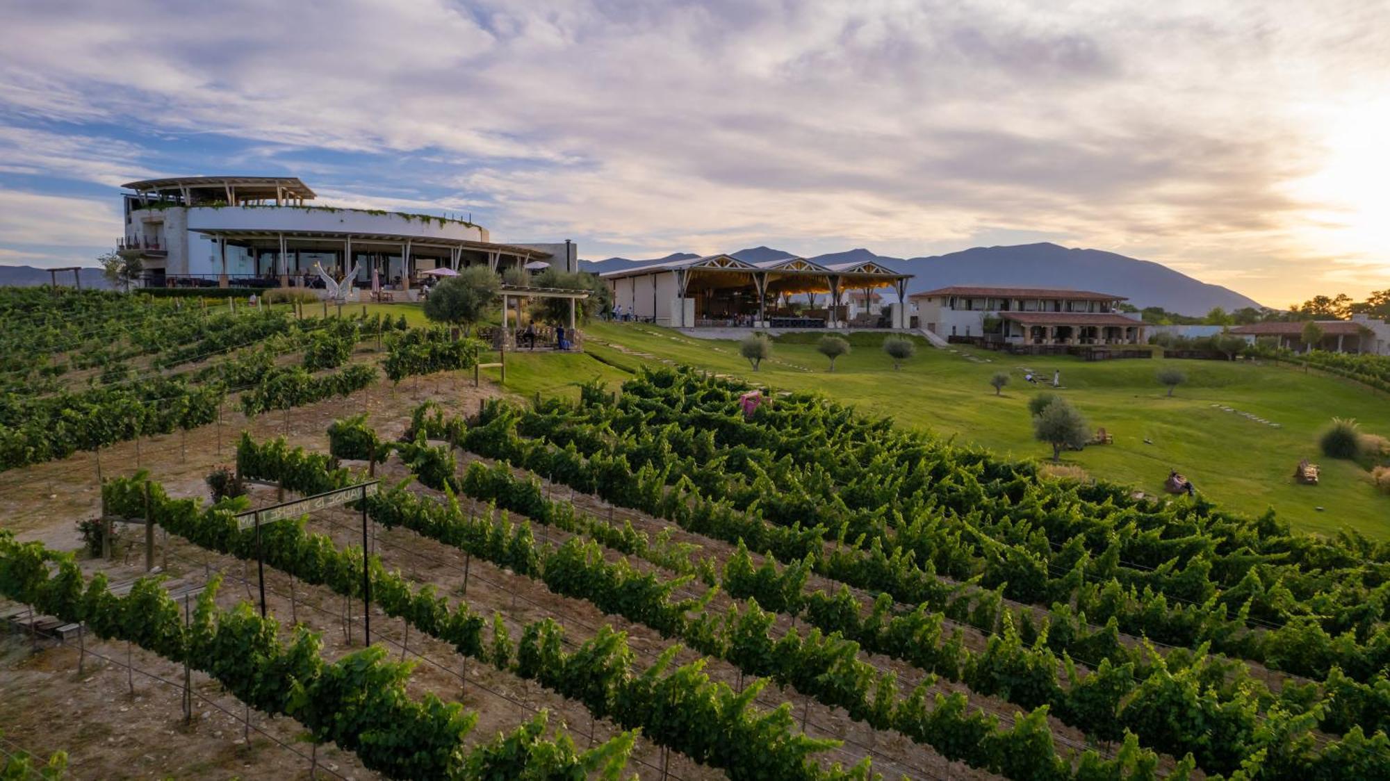 Hotel Vinicola Parvada By Lumina Parras de la Fuente Dış mekan fotoğraf